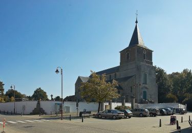 Tocht Te voet Bierbeek - Walterpad variant B - Photo