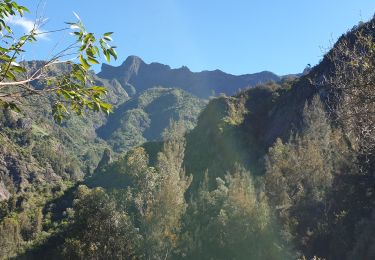 Trail Walking Cilaos - Boucle Cascade Bois Rouge  - Photo