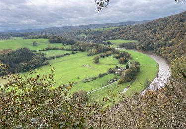Trail Walking Esneux - Roche aux Faucons 13 Km - Photo