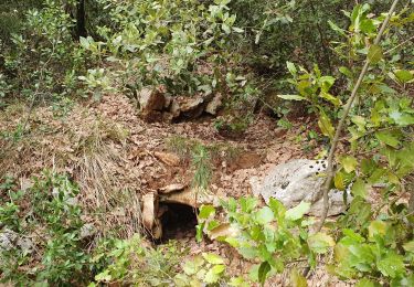 Tour Wandern Signes - Le jas de Marquant la Limate - Photo