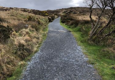 Trail Walking Conamara Municipal District - Connemara national park - Photo