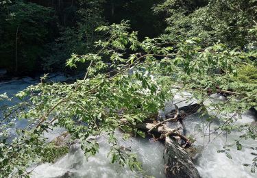 Tocht Stappen Saint-Gervais-les-Bains - Gorges de la Gruvaz 8.7.22 - Photo