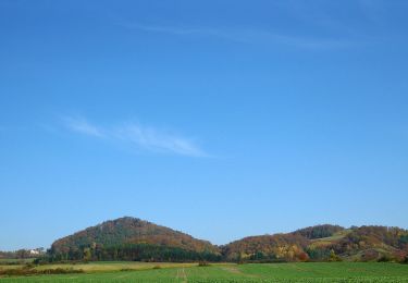 Percorso A piedi Haßfurt - Rund um die Hohe Wann - Photo