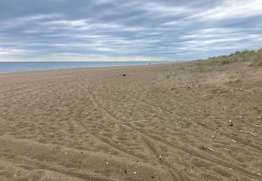 Trail Running Agde - Les marais-Marseillan(30K 80D+) - Photo