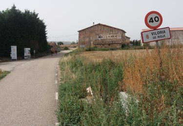 Randonnée Marche Santo Domingo de la Calzada - Viloria de Rioja - Photo