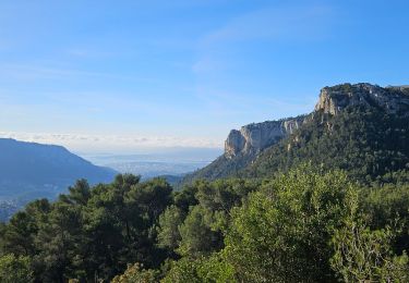 Trail Walking Le Revest-les-Eaux - Le Revest-Pyramide de Cassini-Le Revest - Photo