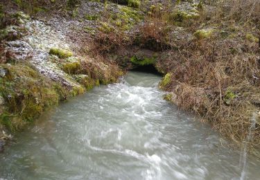 Excursión A pie Gomadingen - Zugangsweg - Gemeindegrenze (Erpfingen) - Stetten u. H. - Hörschwag - Lauchertmühle (Brücke) - Photo