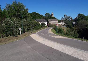 Randonnée A pied Botmeur - Brasparts Circuit des landes et tourbières - Photo