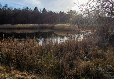 Tour Zu Fuß Lanaken - Pietersheim Rode driehoek - Photo