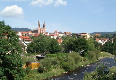 Percorso A piedi Forbach - Ziegenpfad - Photo