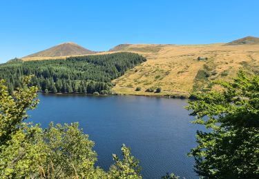 Randonnée Marche Murat-le-Quaire - source-puygros-lac-cascade-may-banne - Photo