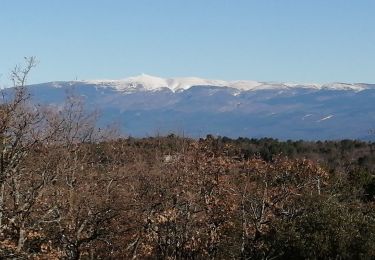 Tour Wandern Venasque - le camp long - Photo