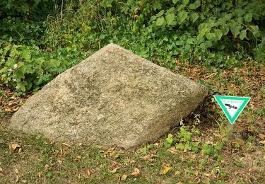 Tour Zu Fuß Unbekannt - Pilgerweg Heidhausen - Essen - Photo