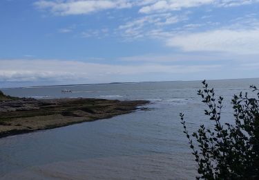 Tocht Stappen Royan - sentier des douaniers  - Photo