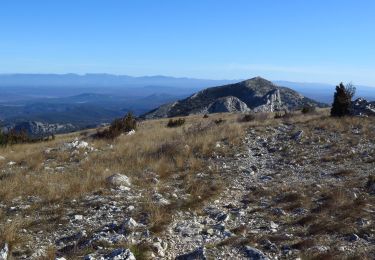 Tocht Stappen Saint-Antonin-sur-Bayon - Terrain chamois en Ste Victoire  - Photo