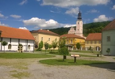 Tour Zu Fuß  - Fokina staza - Photo