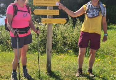 Trail Walking Camoël - rando 3 du 11 juin 2021 - Photo