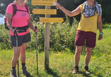 Tocht Stappen Camoël - rando 3 du 11 juin 2021 - Photo