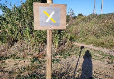 Trail Walking Saint-Nazaire - st Nazaire  - Photo