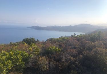 Tour Wandern Belgodère - Boucle Lozari - plage ostreconi : désert dès agriates  - Photo