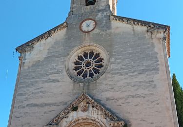 Tour Wandern Villes-sur-Auzon - entre Auzon et le GR du massif du Ventoux - Photo