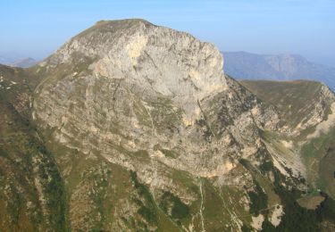 Excursión A pie Roccaforte Mondovì - G2 - Photo