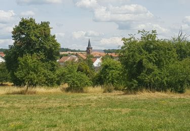Tour Wandern Kerbach - Le petit tour de kerbach - Photo