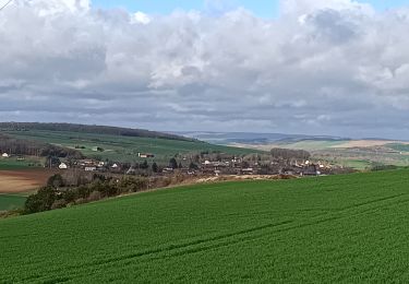 Tour Wandern Bucey-en-Othe - Balade autour de Bicey - Photo