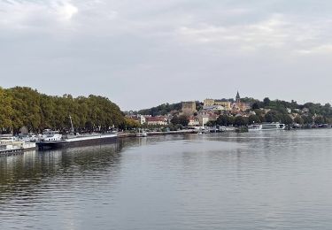 Tocht Stappen Saint-Germain-en-Laye - GRP CV-IDF 2023 - Photo