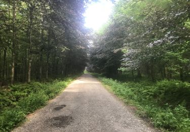 Trail Walking Froidchapelle - Martinsart - Photo