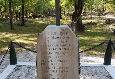 Tocht Stappen Signes - siou Blanc- Aiguille de Valbelle - Photo