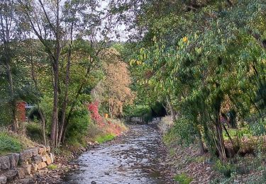 Trail Walking Theux - franchimont-maché . chinru - retour - Photo