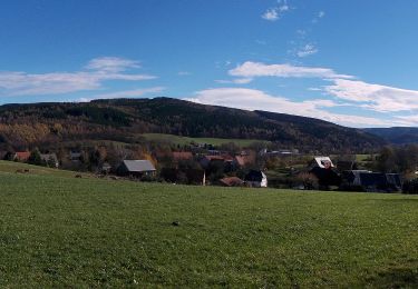 Tour Zu Fuß Dippoldiswalde - Rundweg Obercarsdorf - Photo