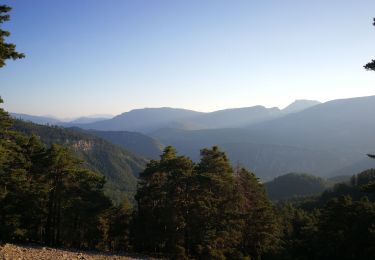 Percorso Marcia Brantes - Brantes-Ventoux-Frache-Brantes-Bis - Photo