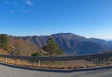 Tour Zu Fuß Lorsica - Barbagelata - Passo di Ventarola - Photo