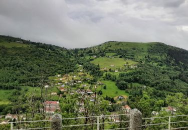 Randonnée Marche La Bresse - la bresse 20240617 - Photo