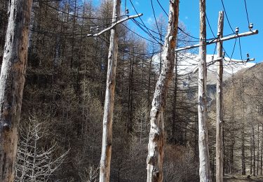 Excursión Senderismo Crévoux - parcours des fées - Photo