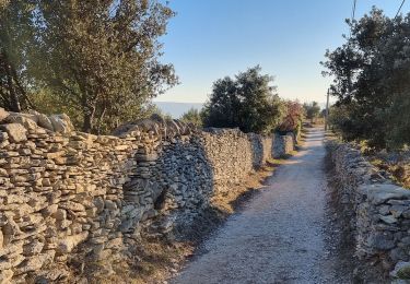 Tour Wandern Saumane-de-Vaucluse - abords de Saumane  - Photo