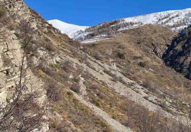 Tocht Sneeuwschoenen Saint-Dalmas-le-Selvage - Tête de Vinaigre  - Photo