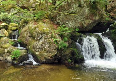 Trail Horseback riding Le Tholy - 2022-06-01 Rando CVA Le Tholy Boucle Cascades du Tendon - Photo