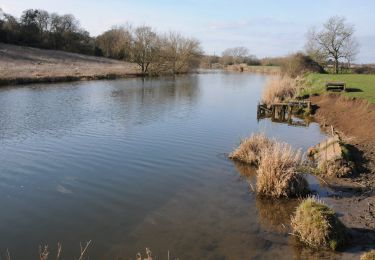 Tocht Te voet Wychavon - Eckington Wharf Circular Walk - Photo