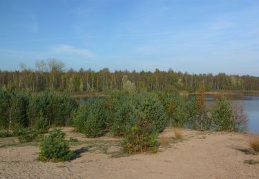 Percorso A piedi Lommel - Sahara Oranje bol - Photo