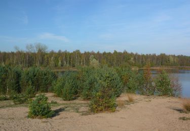 Randonnée A pied Lommel - Sahara Oranje bol - Photo