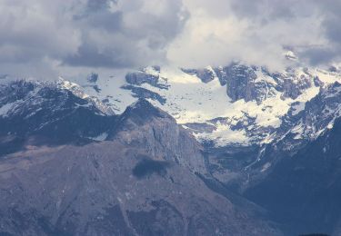 Tour Zu Fuß Malcesine - Il Signor- Prai - Bocca di Navene - Photo