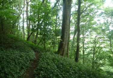 Tocht Te voet Malvern Hills - Abberley Circular Walk - Photo