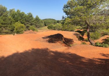 Trail Mountain bike Agde - Vtt pomerols Castelnau de Gers - Photo