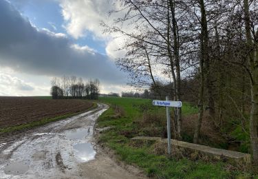 Percorso Marcia Villers-la-Ville - Promenade du Vieux Chemin par Jumerée - Photo