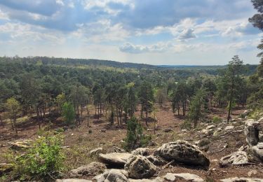 Trail On foot Fontainebleau - Fontainebleau - Moret - Montigny - Photo