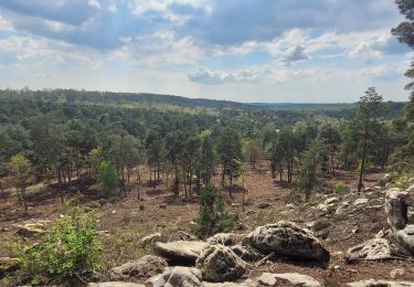 Tour Zu Fuß Fontainebleau - Fontainebleau - Moret - Montigny - Photo