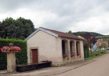 Tour Zu Fuß Bouxières-aux-Bois - Circuit des Fontaines et Lavoirs - Photo